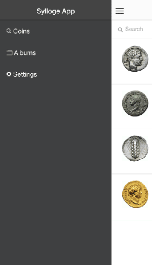 Features: coin album