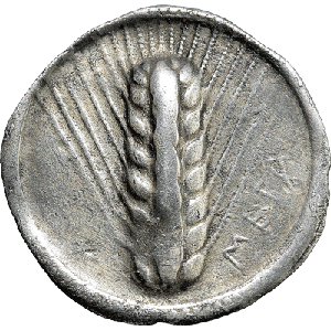 Sylloge App Coin Collecting Icon